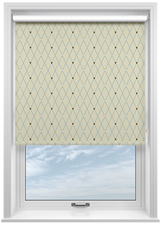 Puddle Down, Trellis Shell - Roller Blind